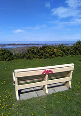 Banc de mer / Sea bench