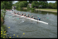 ladies rowing team