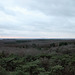 Aussicht vom Feuerwachturm Rennberg (Haard, Haltern am See) / 26.12.2023