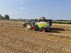 Late summer field work