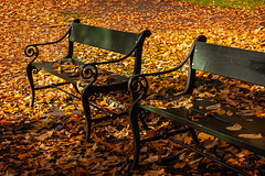 Herbst in Oslo