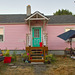 Pink and Teal