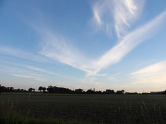Nuages du soir , signes d’espoir , on dirait une colombe de la paix ........