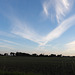 Nuages du soir , signes d’espoir , on dirait une colombe de la paix ........