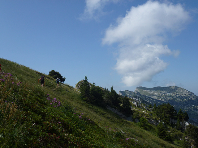 20150710 -15 Rando Spéléo St Pierre de Chartreuse (126)