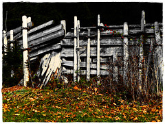 HFF ... Happy Fence Friday