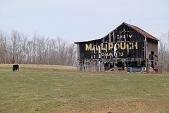 A barn in Tuppers Plains