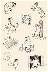 Kittens and Cats (14), 1957