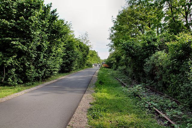 Ehemalige Erzbahn (Wanne-Eickel) / 21.05.2018