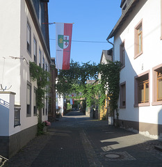 Mosel 2013 001