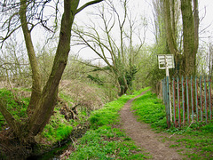 Tene Brook making its way to the Smestow