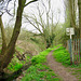 Tene Brook making its way to the Smestow