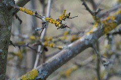 2022-01-30 13'10'05 E-M5 0565