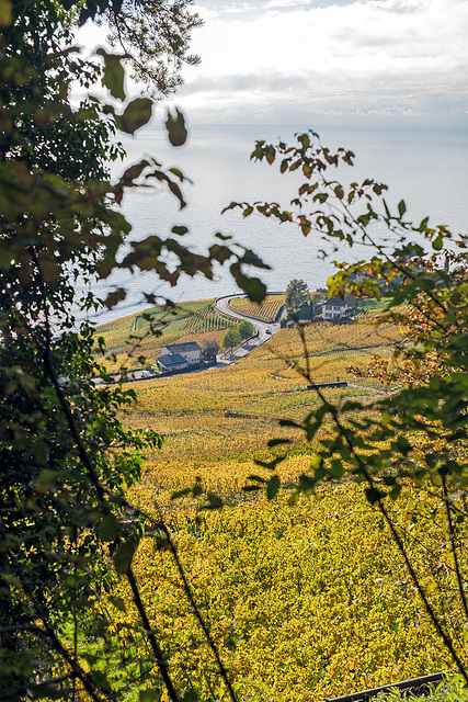 221101 Lavaux 9