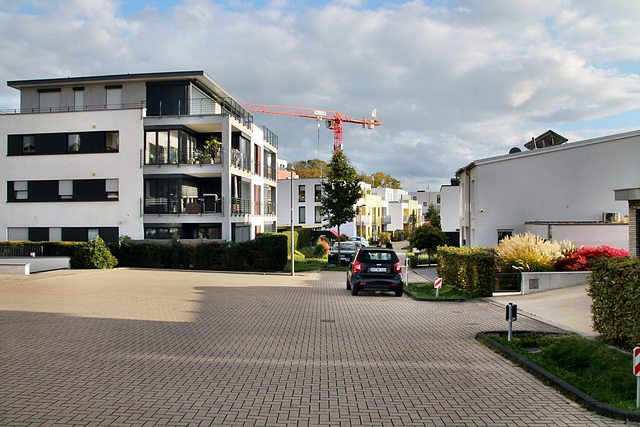 Seehöhe (Dortmund-Hörde) / 21.10.2023