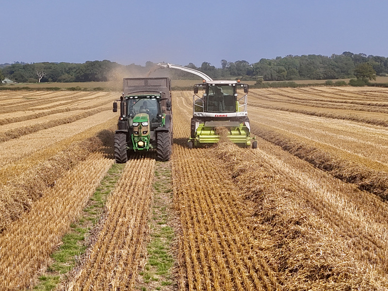 Late summer field work