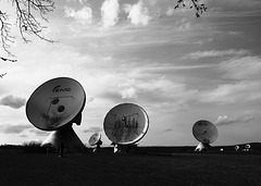 Nach Hause telefonieren