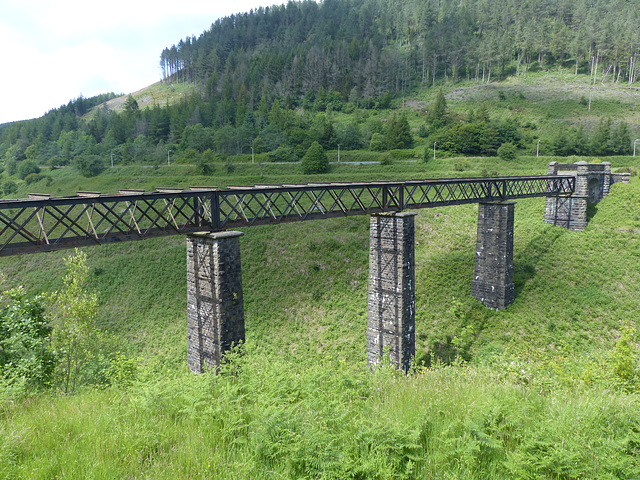 Cymmer Afan Viaduct (2) - 27 June 2015