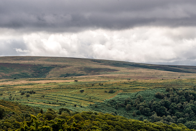 Dartmoor - 20150831