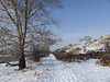 Winter walk at Beaverdam Flats