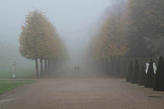 ...beim Sonntagsspaziergang im Park