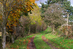 Bray Clough path