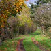 Bray Clough path