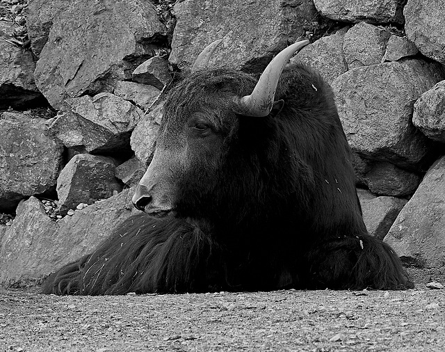 Tierpark Straubing