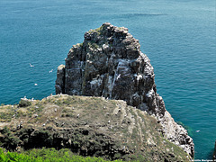 Cap Fréhel : Rocher de la fauconnière (Côtes d'Armor) France