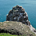 Cap Fréhel : Rocher de la fauconnière (Côtes d'Armor) France