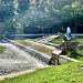 Paris 2024 – Versailles – Fountain