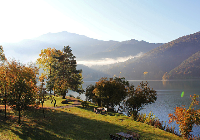 Morgenstimmung am See