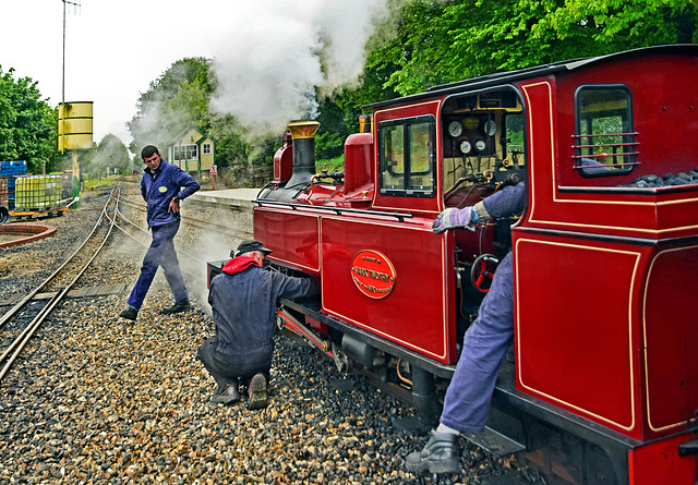 Bure Valley Railway