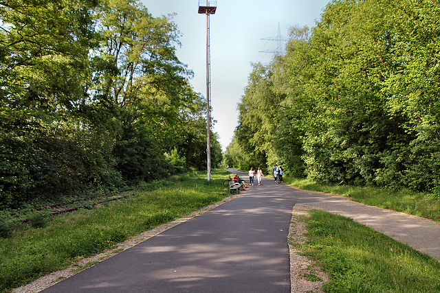 Radweg auf der ehem. Erzbahn (Wanne-Eickel) / 21.05.2018