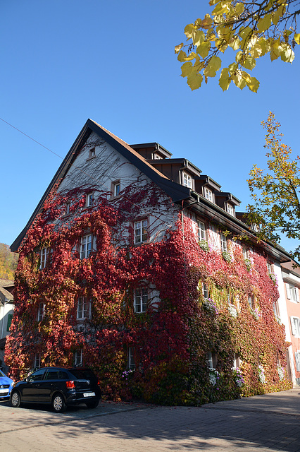 Herbstliches Haus