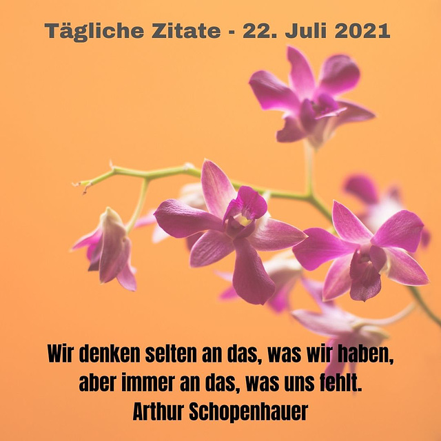 Tägliche Zitate - 22. Juli 2021