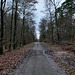 Flaesheimer Weg (Haard, Oer-Erkenschwick) / 26.12.2023