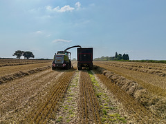 Late summer field work