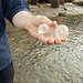 giant sea jelly beans?