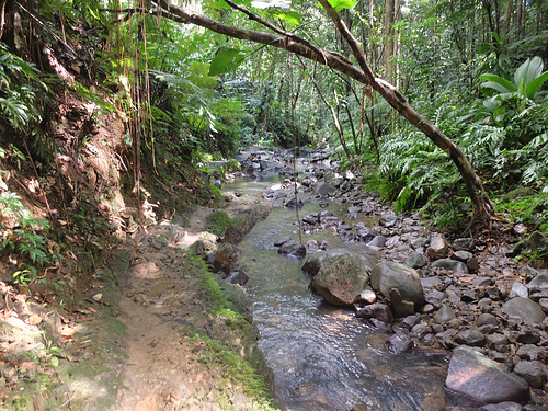 GUADELOUPE