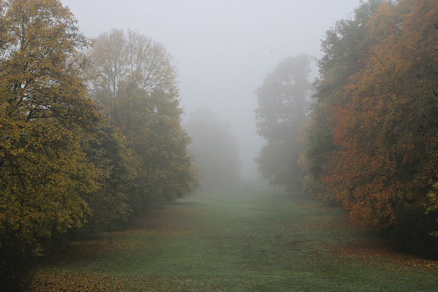 Nasskalter Nebel wabert duch Bäume und Wege ...