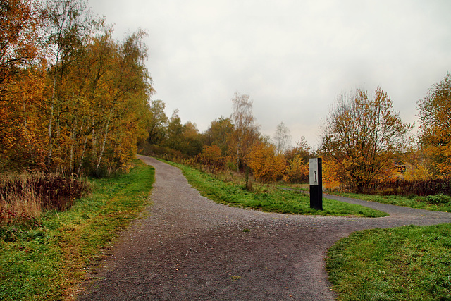 Wege auf der Halde Brockenscheidt (Waltrop-Brockenscheidt) / 17.11.2019