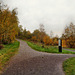 Wege auf der Halde Brockenscheidt (Waltrop-Brockenscheidt) / 17.11.2019