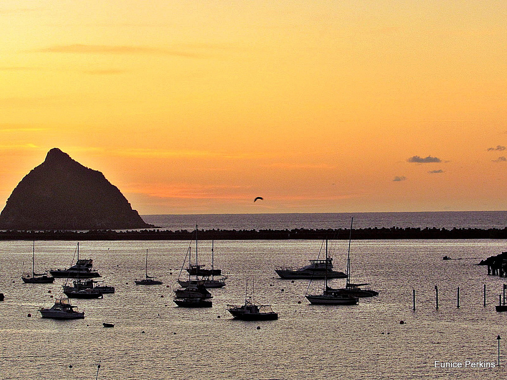 In New Plymouth Harbour.