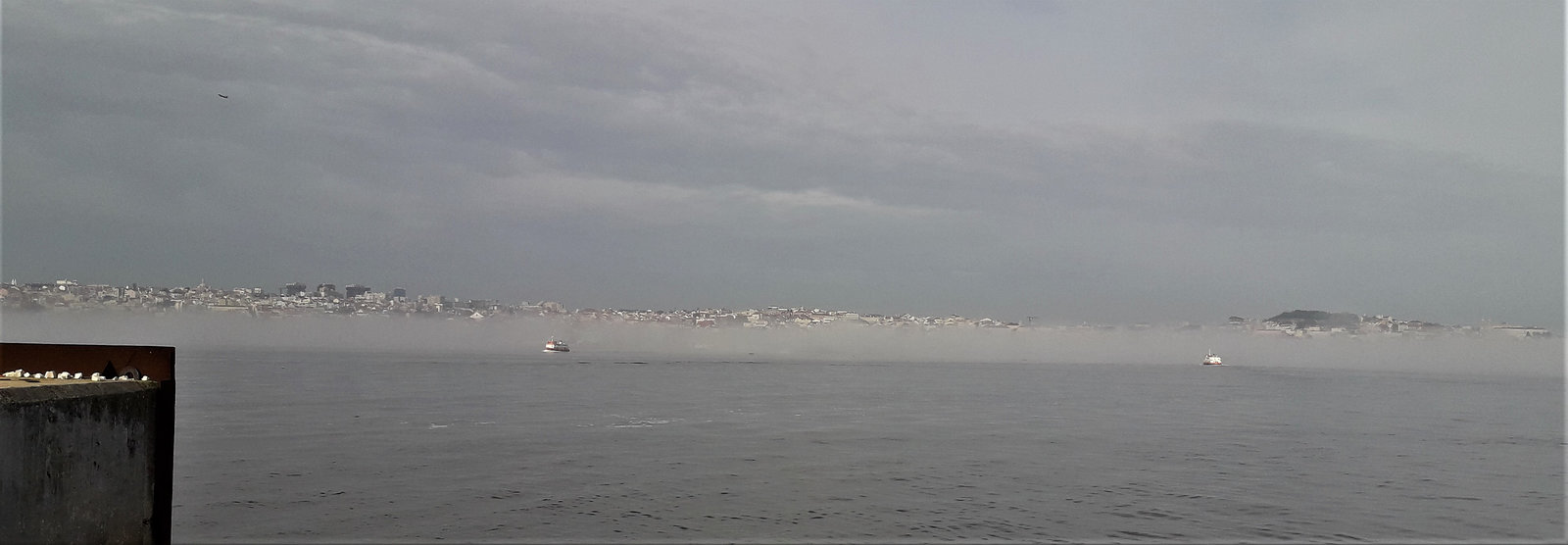 Low fog over River Tagus.