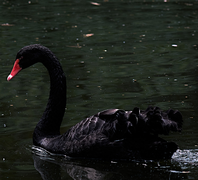 Tierpark Straubing