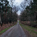 Flaesheimer Weg (Haard, Oer-Erkenschwick) / 26.12.2023