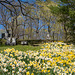 Laurel Hill Cemetery
