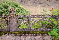 A Fence for Friday and a Rose for you