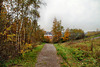 Halde Brockenscheidt, Waltrop-Brockenscheidt / 17.11.2019